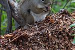 D05 - 22 - IMG 0545