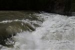 D05 - 11 - IMG 0383