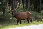 D07 - 08 - IMG 2458
