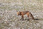 D08 - 14 - IMG 2562