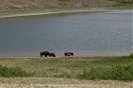 D08 - 10 - IMG 1341