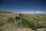 D08 - 06 - IMG 1316