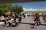 D08 - 04 - IMG 1300