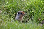 D08 - 16 - IMG 1471