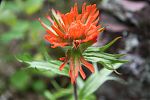 D09 - 07 - IMG 2629
