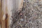 D10 - 04 - IMG 2123
