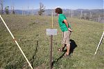 D11 - 10 - IMG 2203