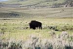 D11 - 14 - IMG 2758