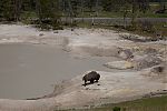 D12 - 08 - IMG 2061