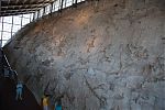 D16 - 04 - IMG 3220