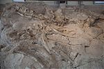 D16 - 05 - IMG 2884