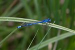D18 - 04 - IMG 3119