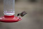 D19 - 12 - IMG 3280