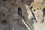 D20 - 11 - IMG 2465