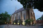 D20 - 17 - IMG 3511