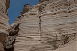 D21 - 03 - IMG 3542