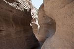 D21 - 04 - IMG 3593