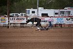 D21 - 17 - IMG 3658-2