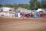 D21 - 19 - IMG 3730